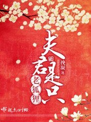 夫君是隻老狐狸